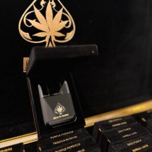 ACE ULTRA PREMIUM 4G DISPOSABLE - Best of Ace ultra 4g