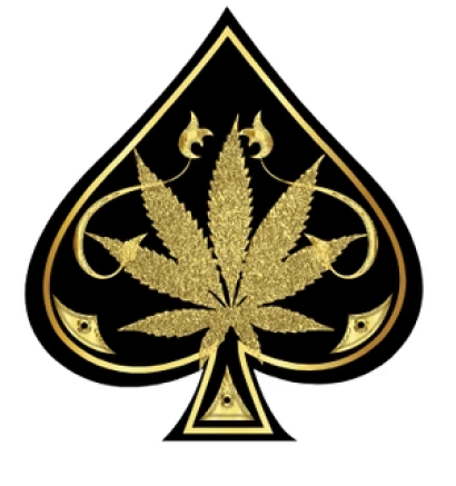 Aceultra Official Brand