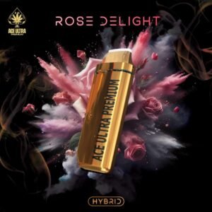 ROSE DELIGHT|HYBRID - ACE ULTRA PREMIUM